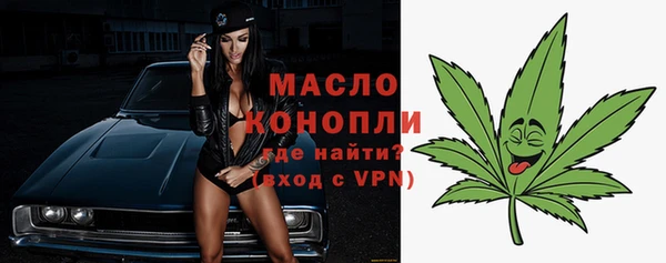 твердый Новозыбков