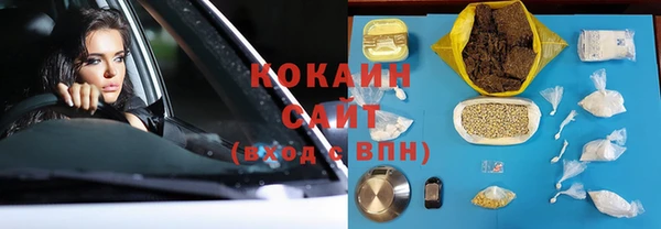 твердый Новозыбков