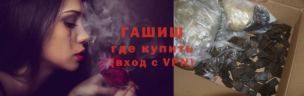 твердый Новозыбков