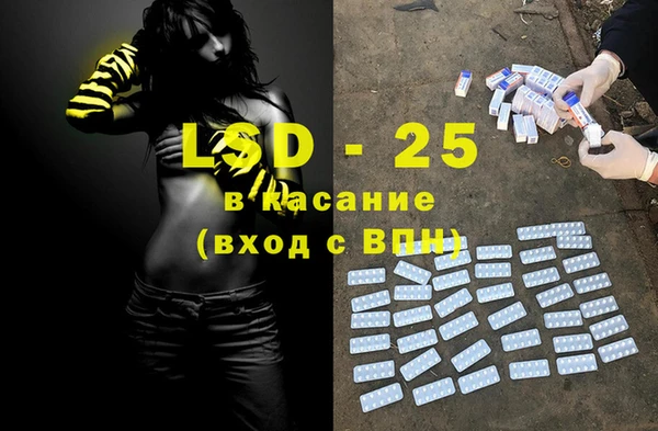 твердый Новозыбков
