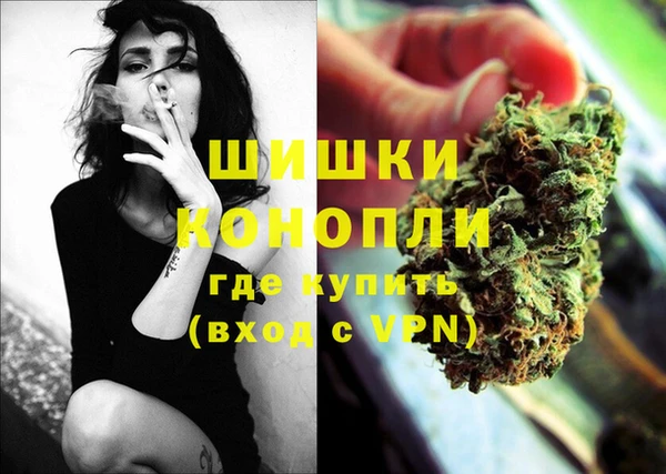 твердый Новозыбков