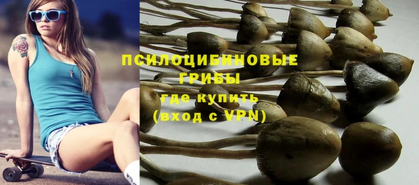 твердый Новозыбков