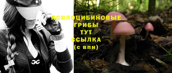 герыч Новокубанск