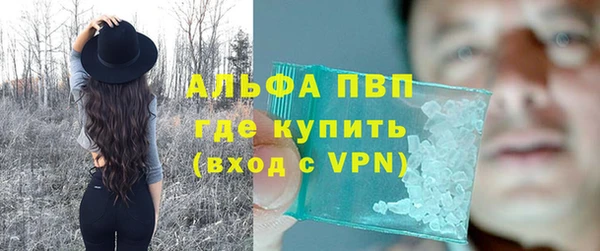 твердый Новозыбков