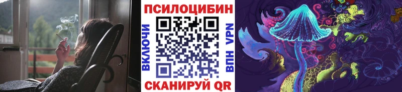 Галлюциногенные грибы Psilocybe Крым